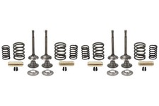 Kit valvole completo per BMW