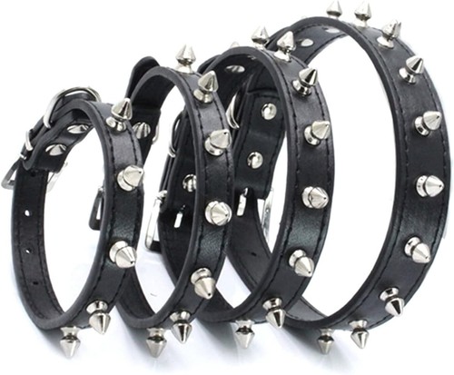 Collare cane con borchie stile - con,
