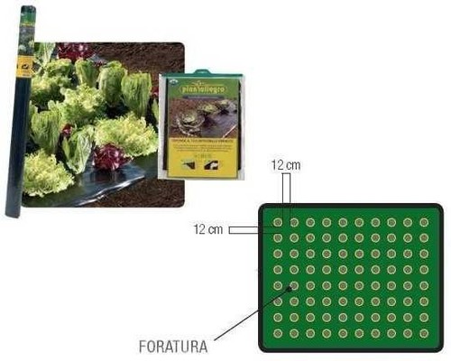 Telo pacciamatura forata per