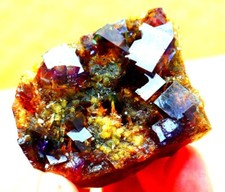 142,1 g Fantasma Viola