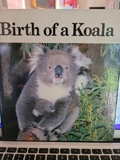 Birth koala by - by, denise