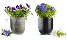 2 X Vaso Di Metallo Per Piante