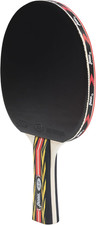 Professional ping pong - professional,