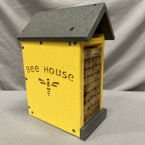 Wildlife mason bee - jc’s,