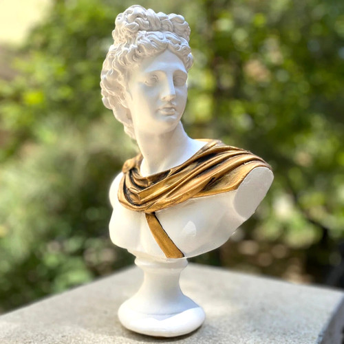 Scultura busto apollo fatta - busto, di