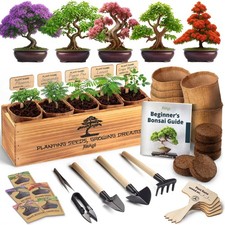 Kit Albero Bonsai per