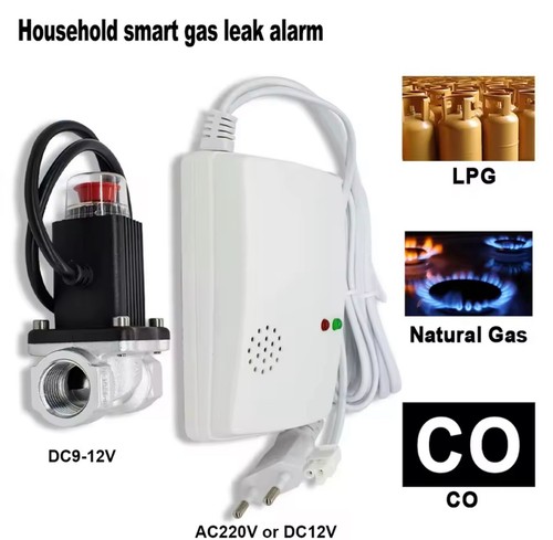 Sensore perdite gas - sensore, naturale