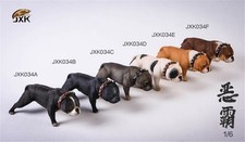 American Bully Pitbull cane