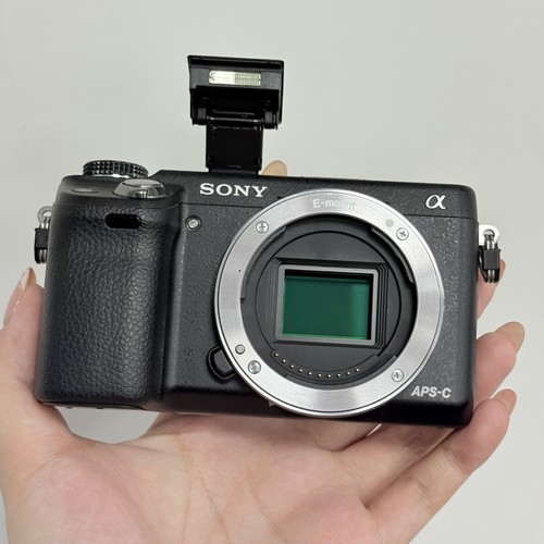 Sony alpha nex mp aps - nex-6, aps-c