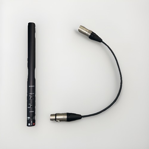 Microfono condensatore sony - condensatore,
