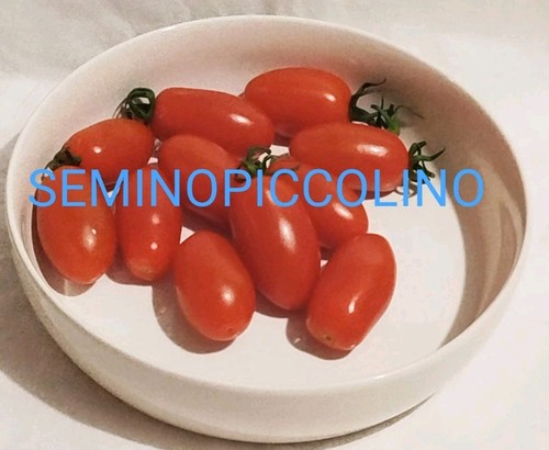 Semi pomodoro marzanino - semi,