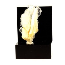 Pietre E Minerali. Quarzo A