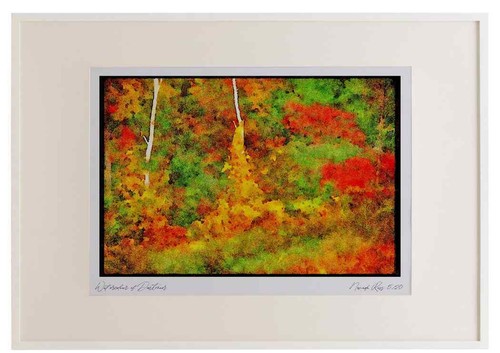 232094 colori autunno - colori,