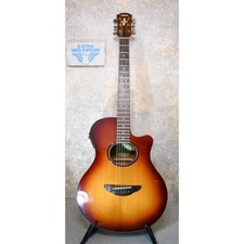 Chitarra elettrica acustica
