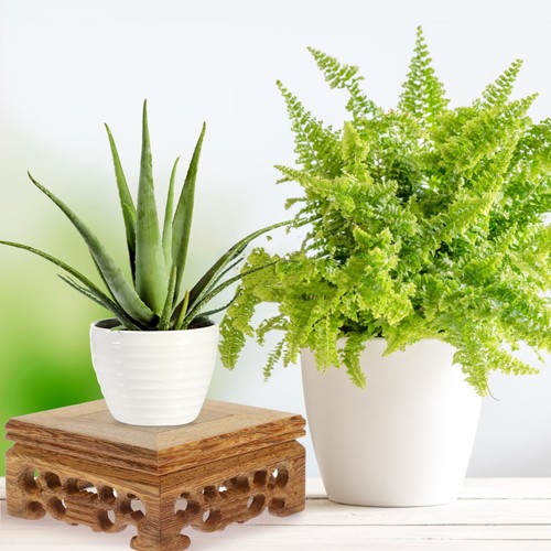 Wooden display base - wooden, teapot