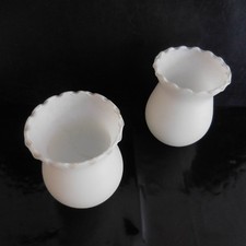 2 Tulipani Paralumi Opalins Di