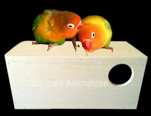 Nido doppia camera - nido,