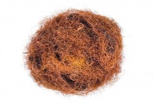 Maydis Stigma Tea | Tisana