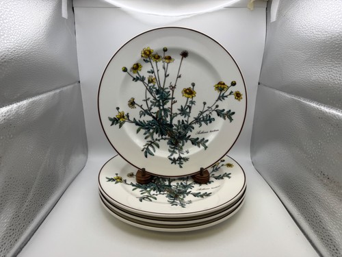 Set villeroy boch - set,