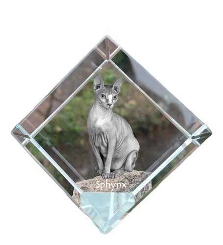 Sphynx dado cristallo - dado, di
