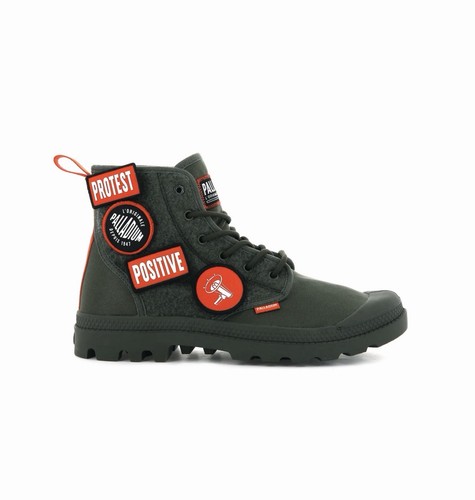 Palladium pampa change - hi,