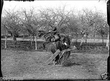 Uomo Cavalier Cavallo Salto
