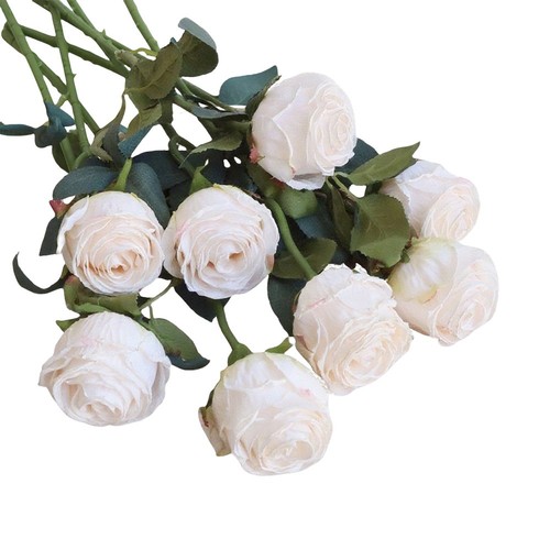 8pz simulazione rose secche - 8pz,