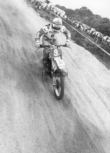 Montesa mx250 factory racer - mx250,