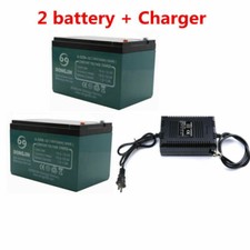 2pz Batteria 12V 12Ah 6-DZM-12