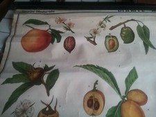 POSTER SCUOLA VINTAGE,G.B.PARAVIA& C. TORINO