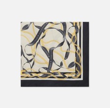 ELISABETTA FRANCHI Foulard in