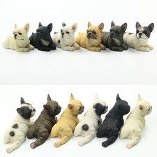 JJM Bellissimo Bulldog