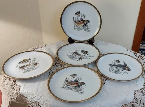 Servizio piatti pesce - piatti,