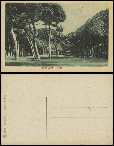 Cartolina viareggio pineta - viareggio,