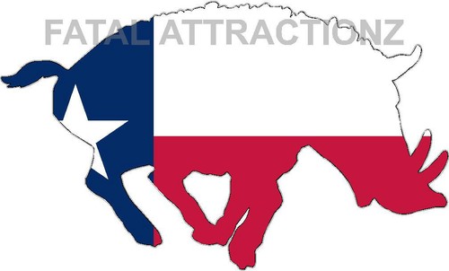 Adesivo vinile bandiera - , texas