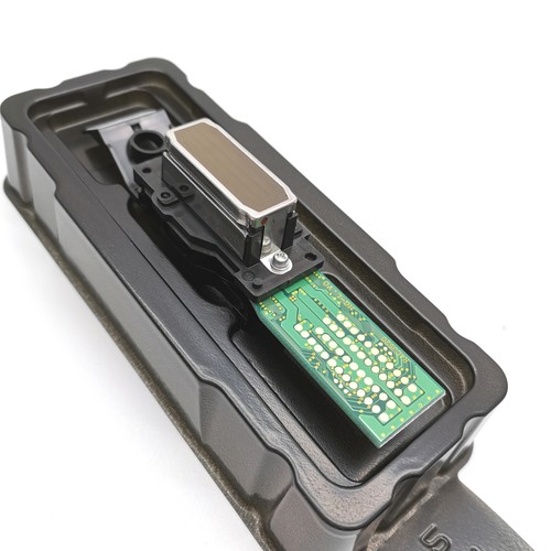 Testina stampa dx4 - testina, 100%
