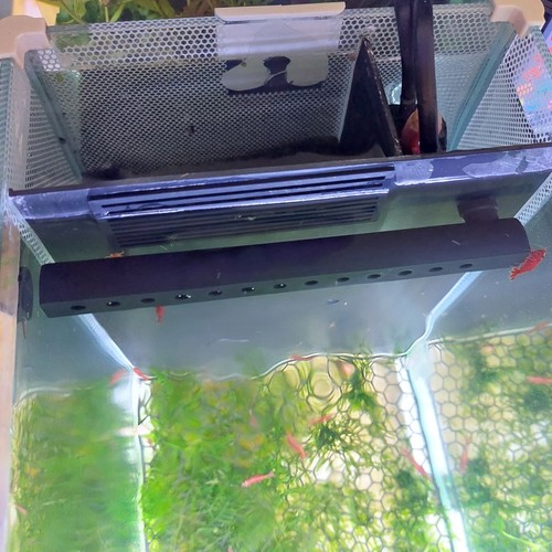 Fluval spec iii - iii, v