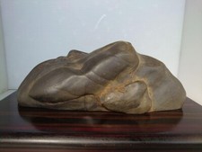 Bonsai Giapponese Pietra da