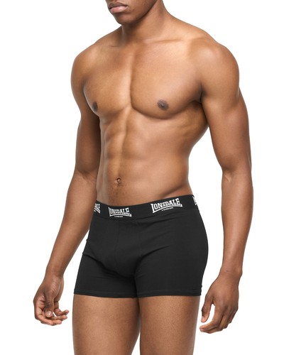 Boxer lonsdale north challow - lonsdale,