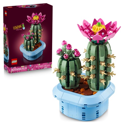 Botanicals cactus fiore - cactus, in