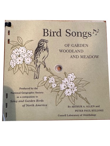 Bird songs garden - songs, woodland