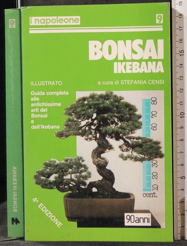 Bonsai ikebana stefania - bonsai, censi