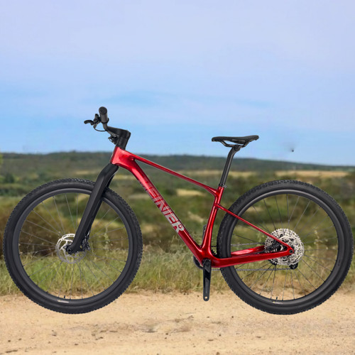 Biciclette carbonio 29 - in,