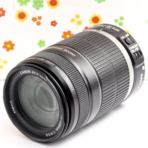 Canon 250 is - canon, 55-250
