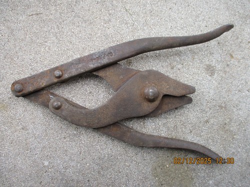 Pinza tagliafili esercito - pinza,