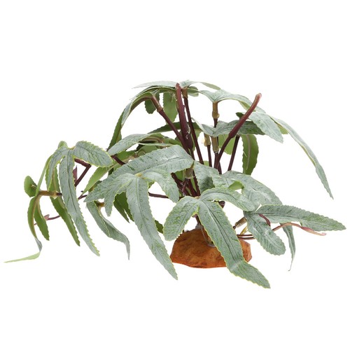 Piante finte per terrario - finte,