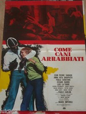 COME CANI ARRABBIATI - PAOLA