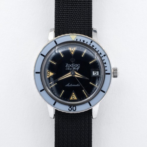 Lupo mare zodiacale 1750b - di,