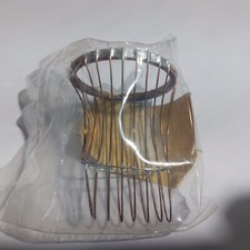 Philip FEI SEM gabbia