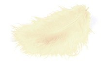 Meyco Marabu Piume In Crema 17